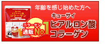 <% kansetusu %>